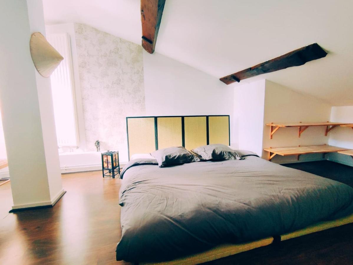 Superbe Appartement Duplex Centre Ville De Mâcon 外观 照片